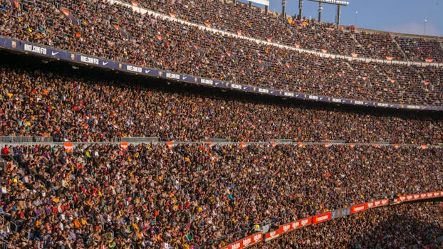 Lacrosse fans cheering in the stands